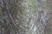 Sleepers Hill fibreglass roof work